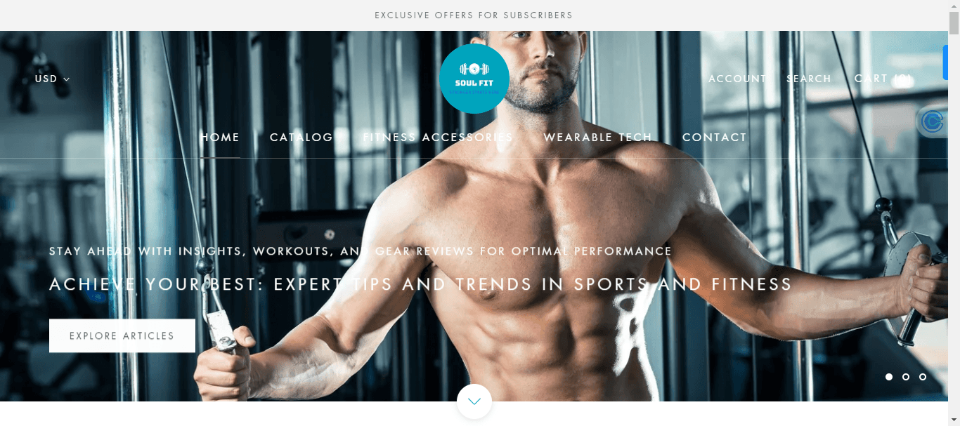 Banner for SoulFiit, a sports and fitness brand, showcasing a muscular man exercising in a gym. The banner promotes insights, workouts, and gear reviews for optimal performance, with a call to explore expert tips and trends in fitness. The navigation bar features options like Home, Catalog, Fitness Accessories, and Wearable Tech.