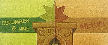 A stylized graphic split into green and orange sections, featuring a star and text about equality and justice.