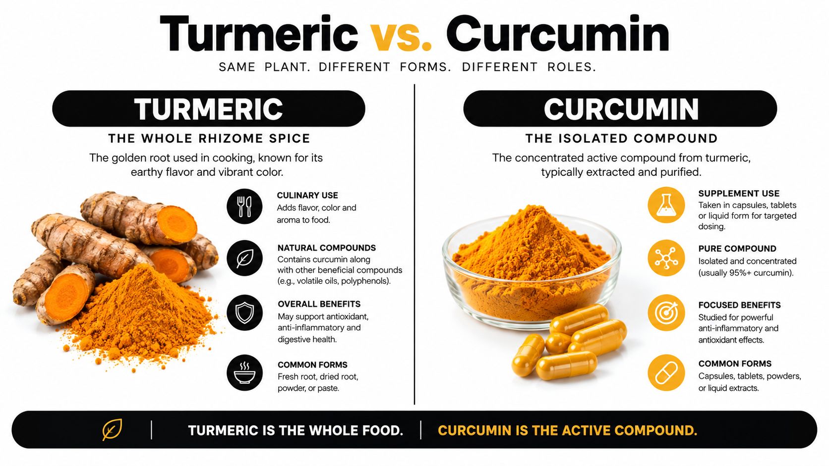 A comparison infographic showing the difference between turmeric root and the isolated curcumin supplement compound.