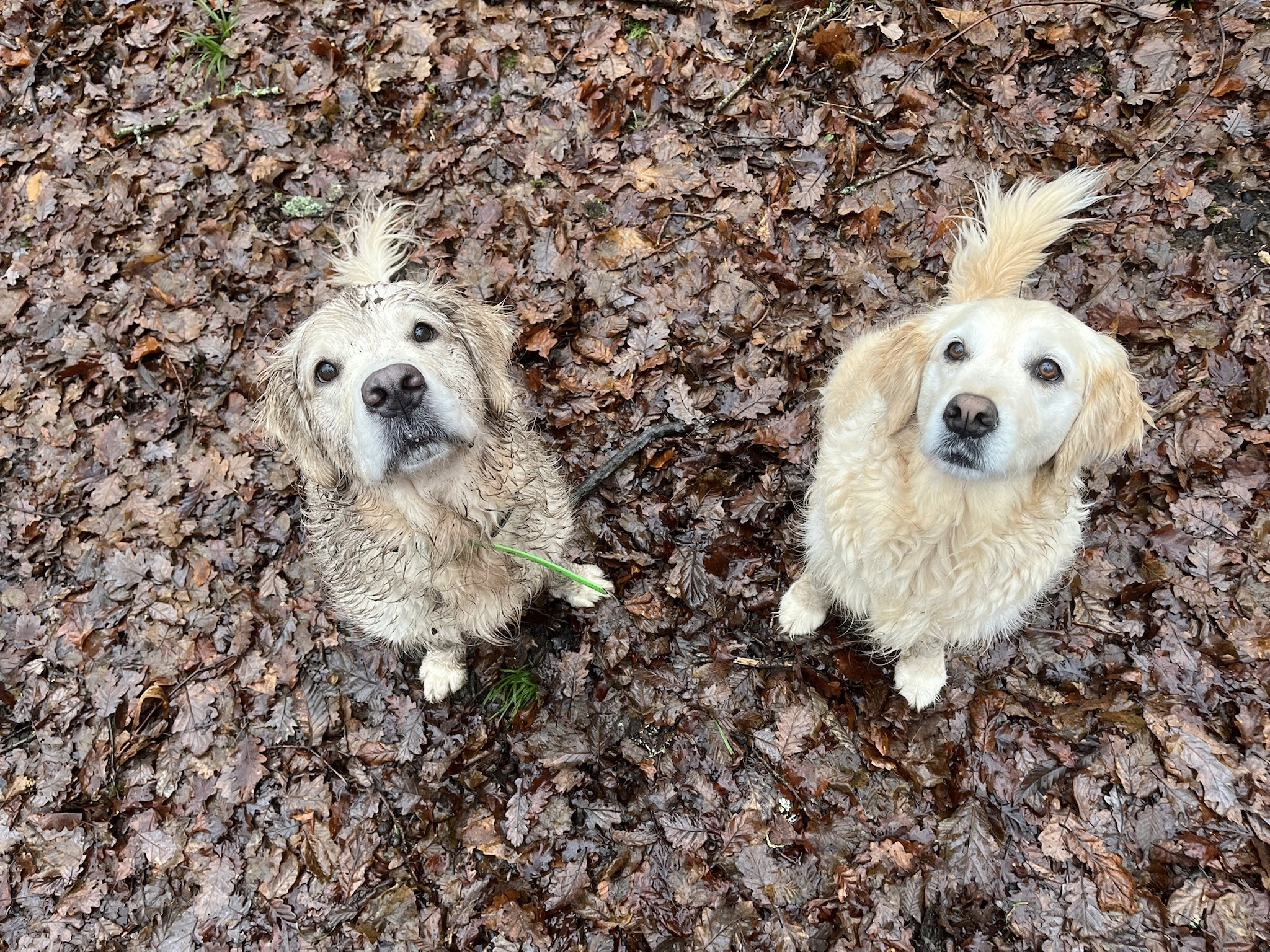 Una&Co Photo Garde à Domicile