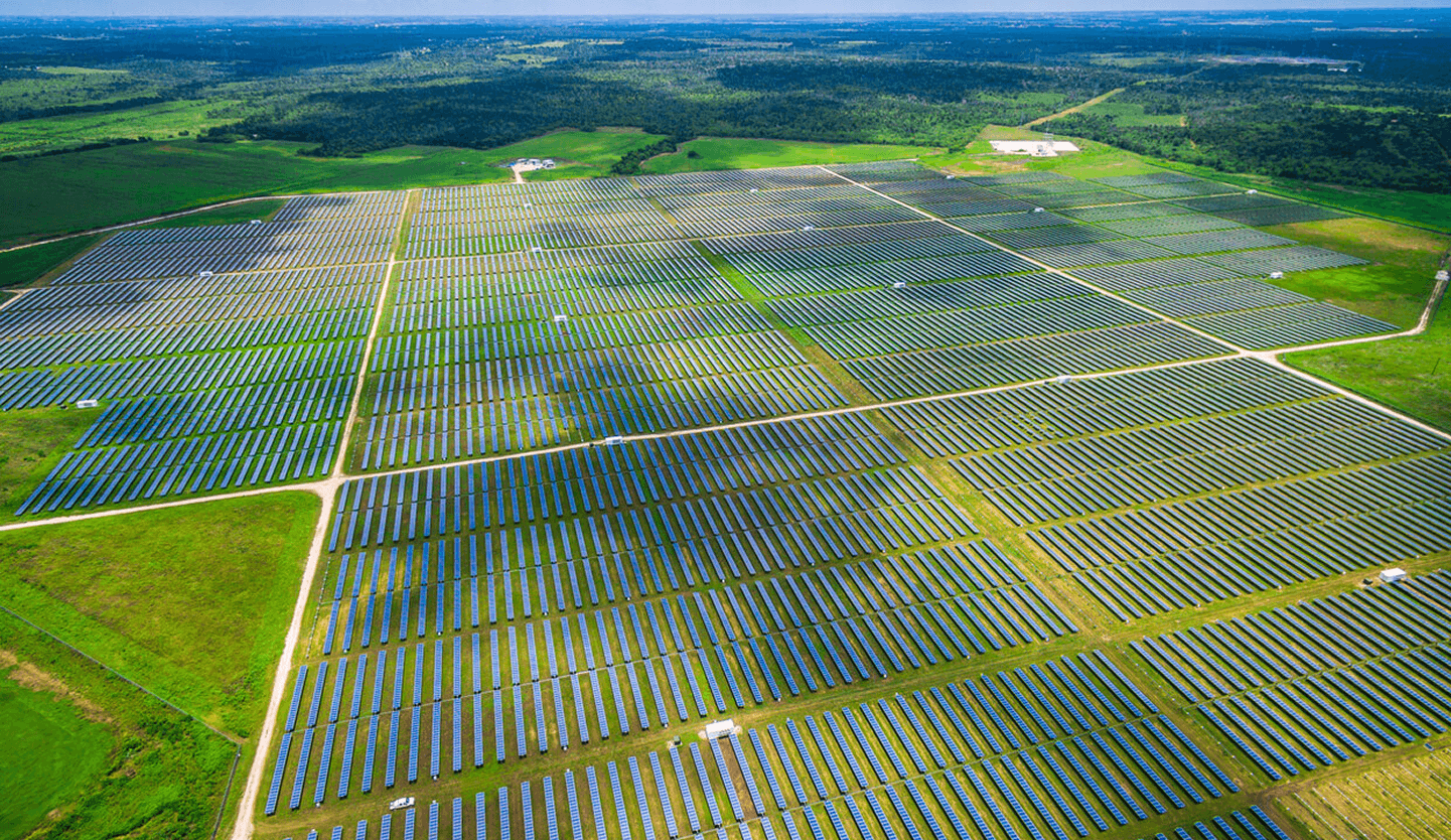 Athlete winning a race