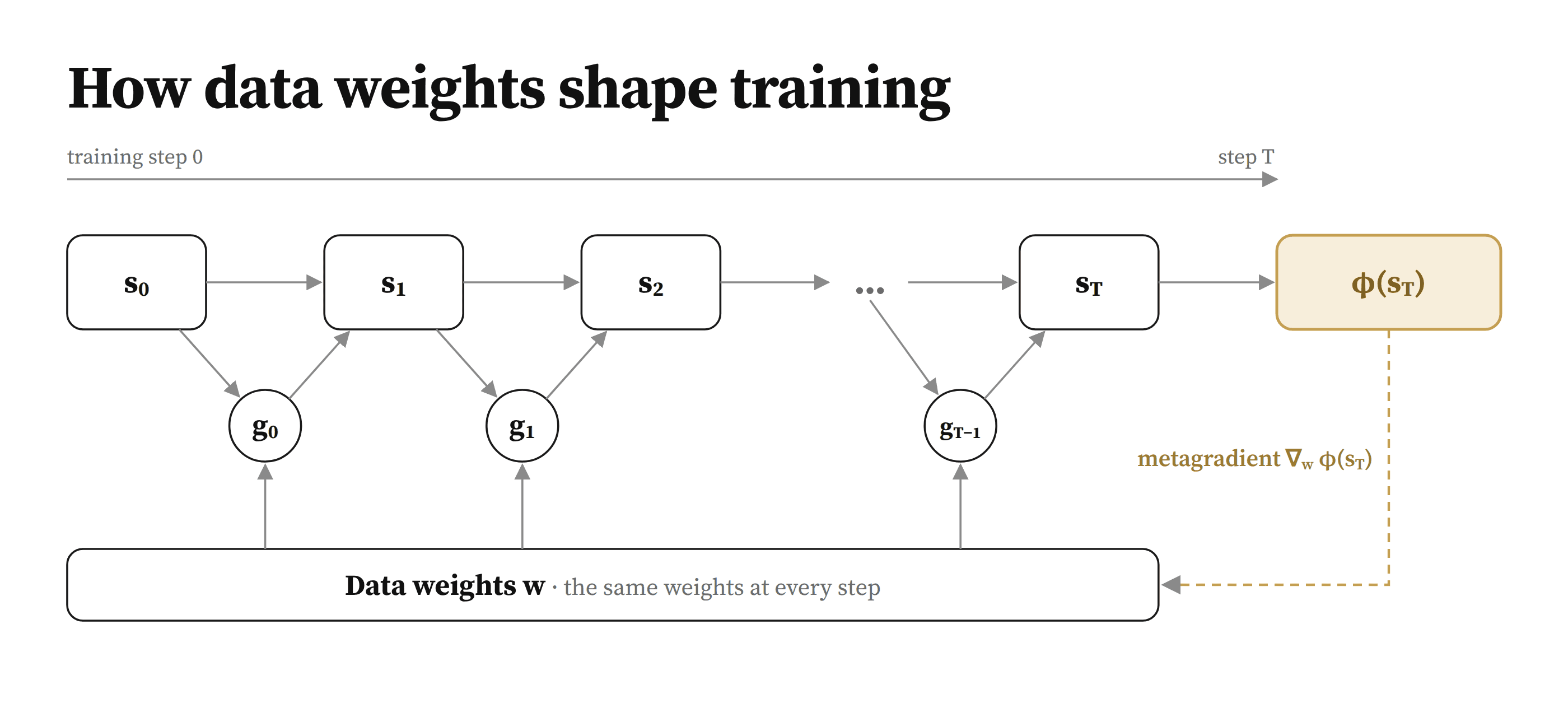 Diagram: model states s0 to sT in a left-to-right chain over training time, each transition produced by a gradient step g; one shared data-weights bar w feeds every gradient step; the final meta-objective phi of sT sends a dashed metagradient arrow back to w.