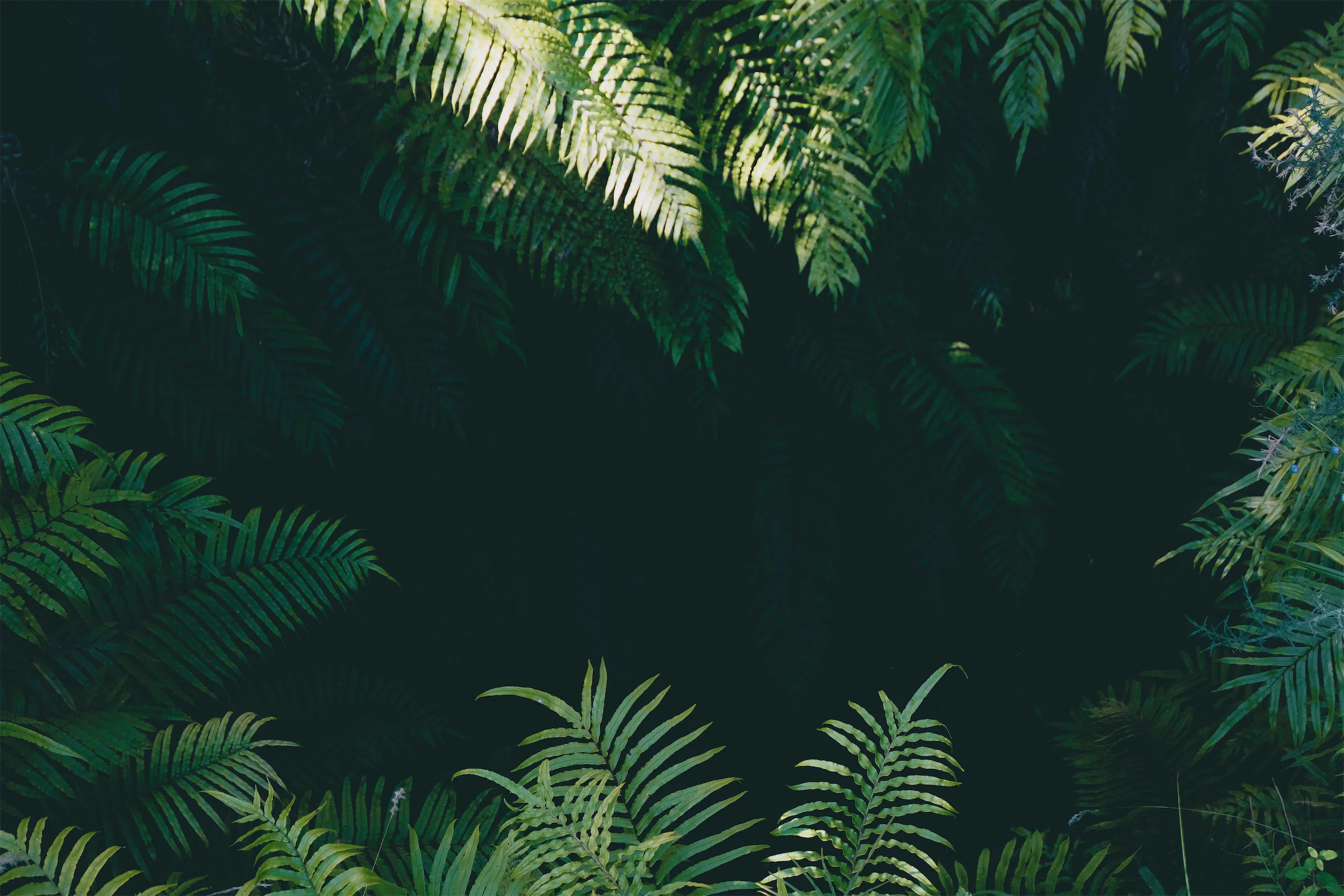 Learnable | A Premium Squarespace 7.1 Website Template for Small Businesses by Studio Mesa