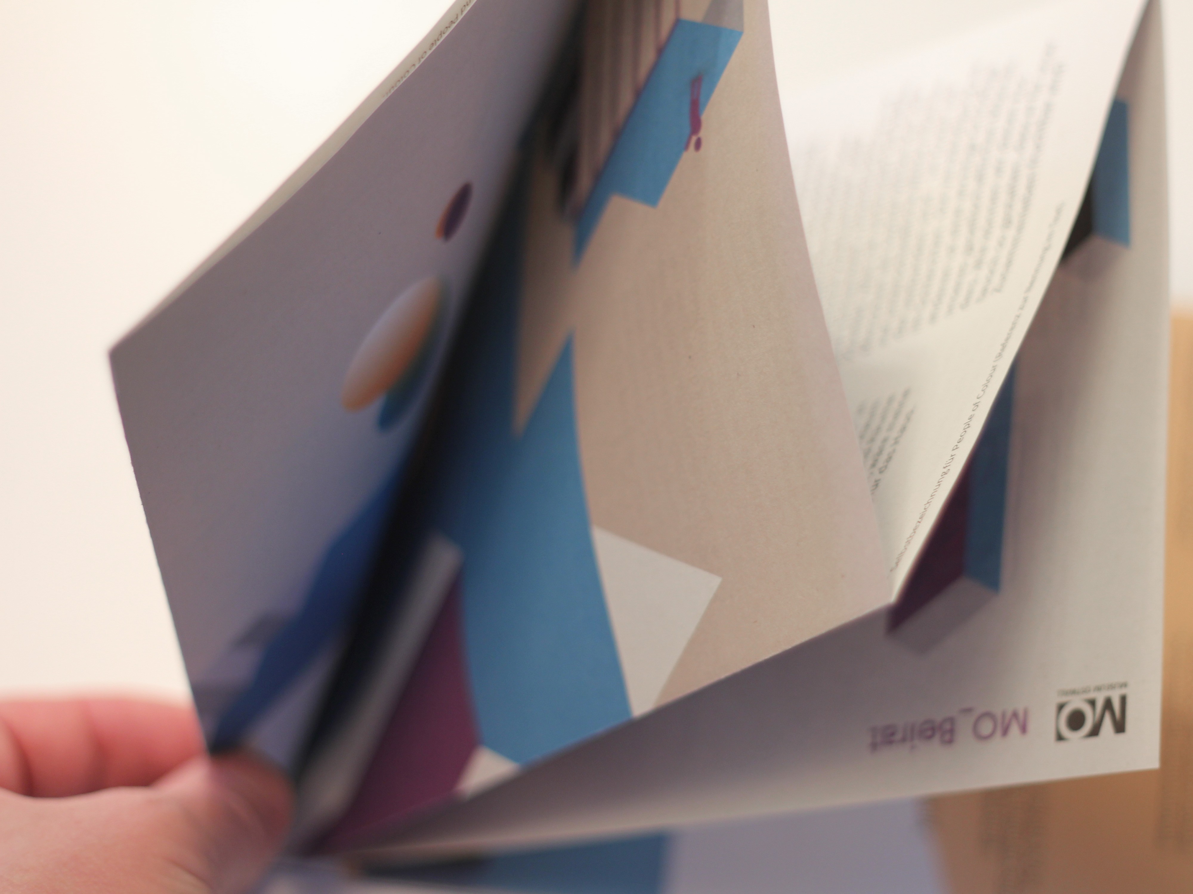 Project Gallery Image for 50% width of the screen #2