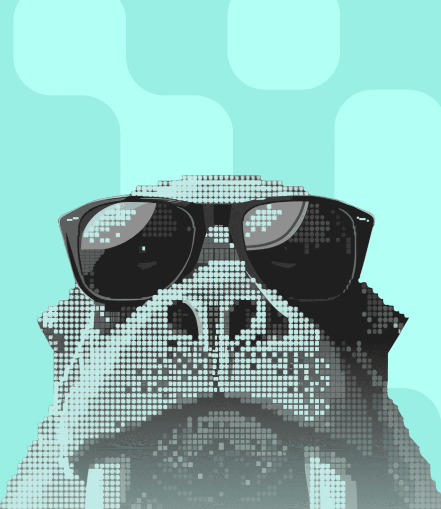 Pixelated walrus wearing large black sunglasses against a mint green background, styled in a retro digital art aesthetic. Walrus logo.