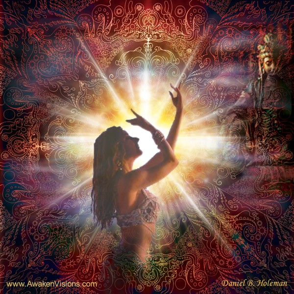 pink flowers on body of water