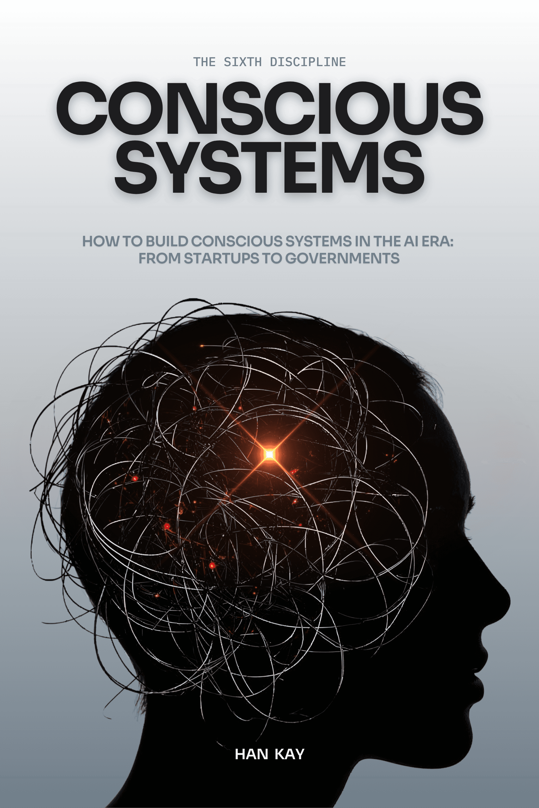 Color front cover of Conscious Systems by Han Kay