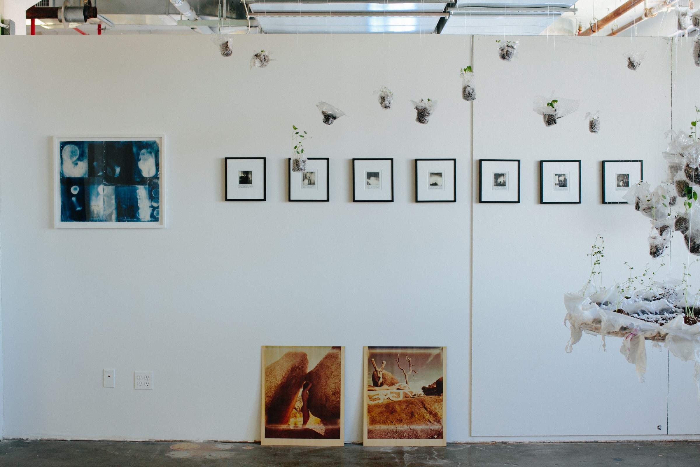 Photograph by Jacquelyne Pierson