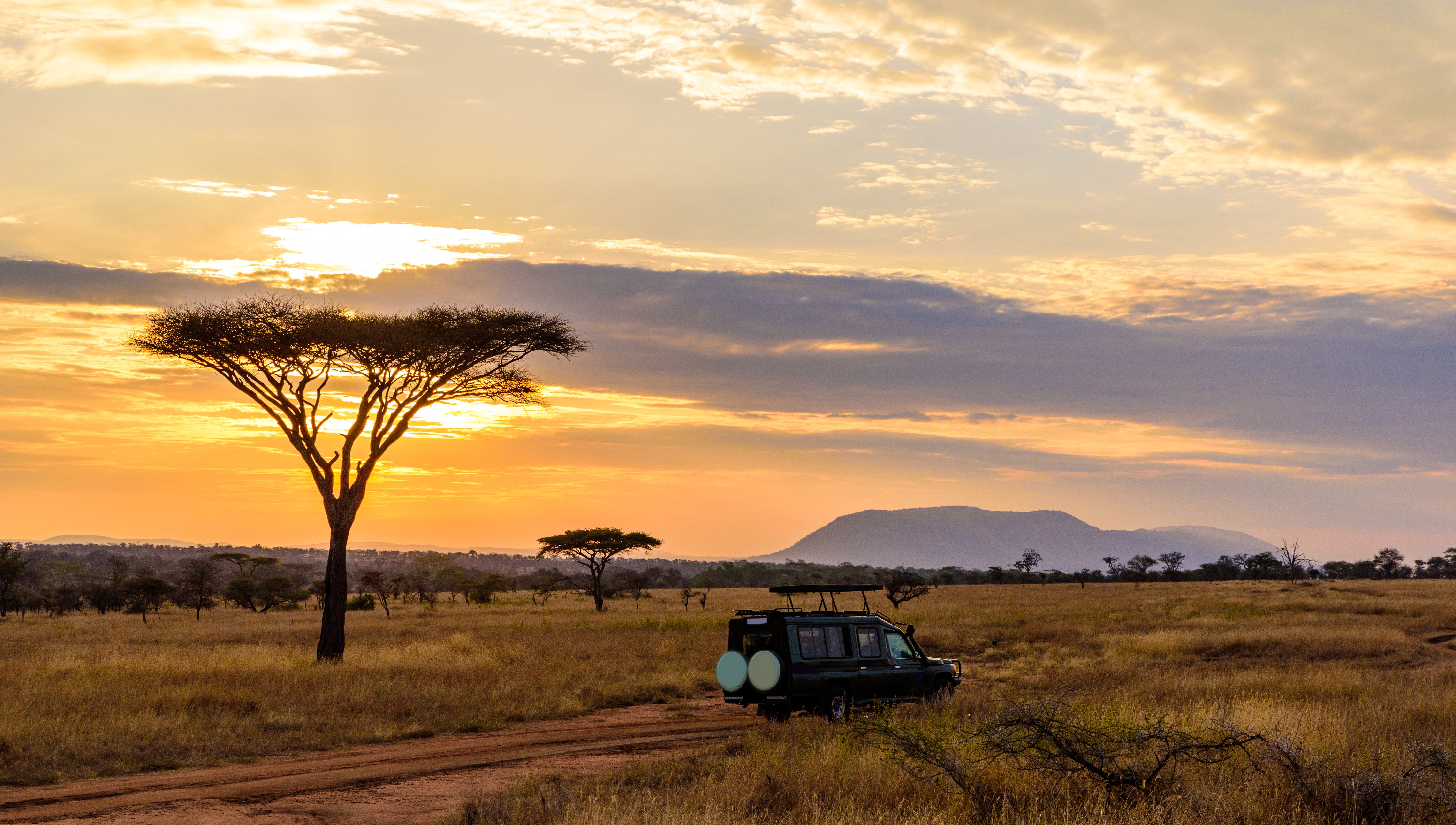 Tanzania Serengeti