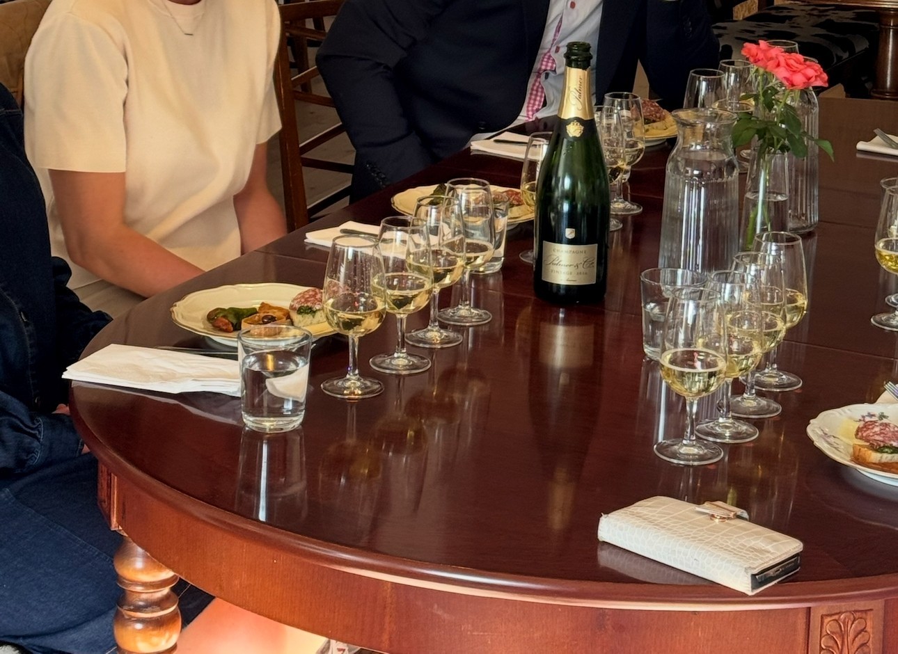 a group of people sitting at a table with wine glasses