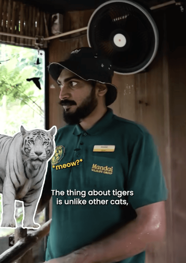 Experience in Mandai Wildlife Group | Sue Jean