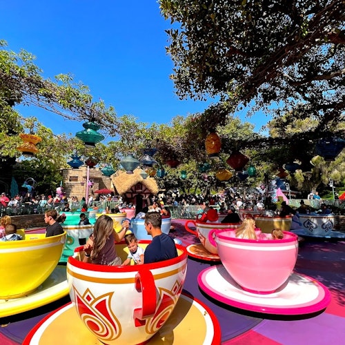 Disneyland® California: 1-Day Entry + Transport from Los Angeles tickets in Anaheim