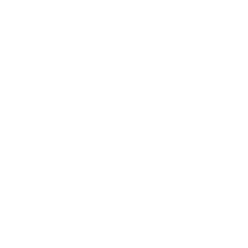 New York Times Logo