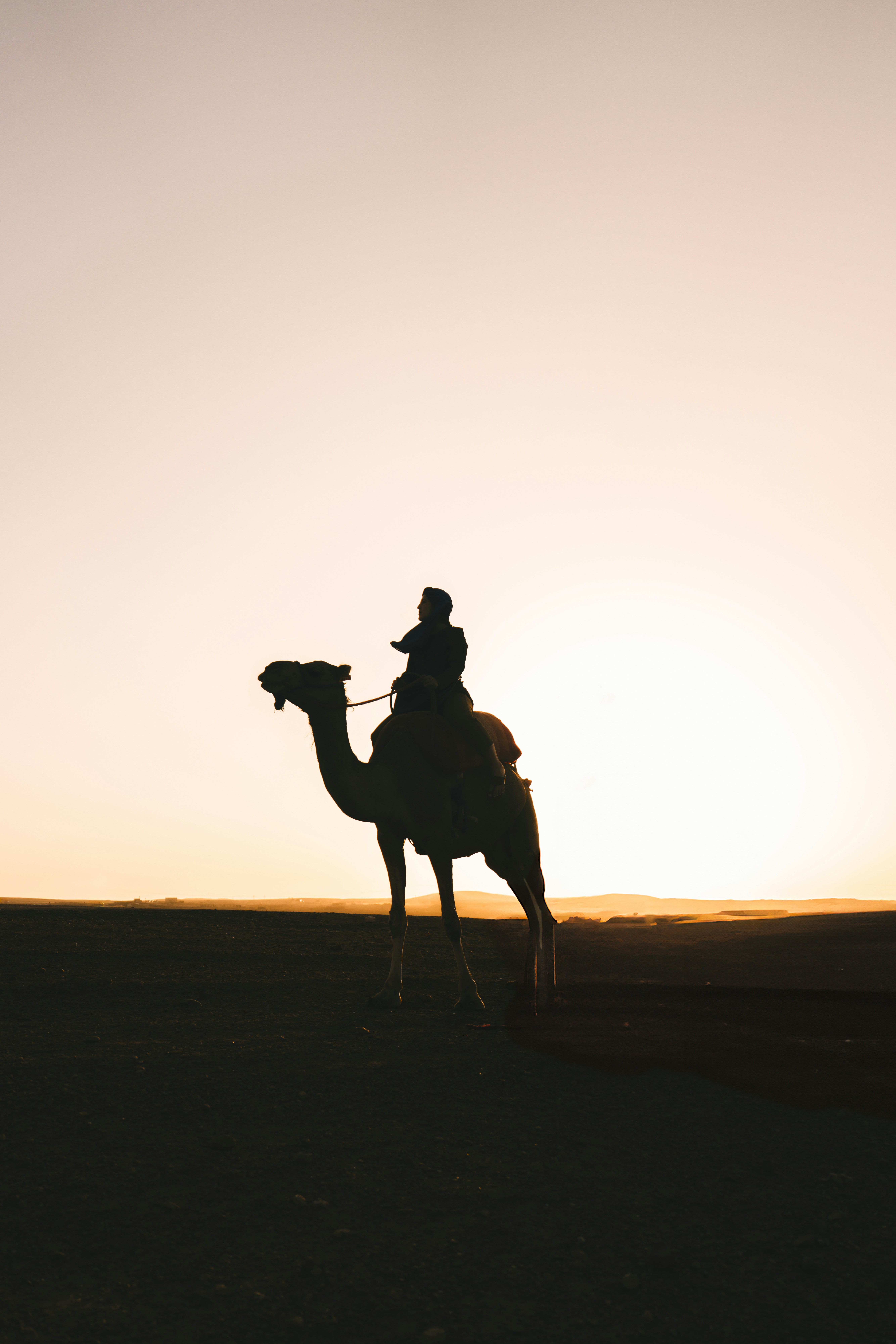 Silhouette of a person riding a camel at sunset.