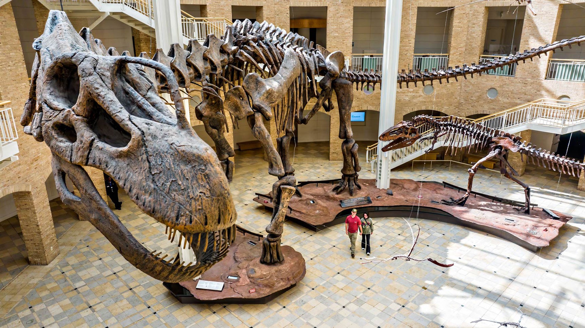 jonathan-phillips-photography-commercial-photo