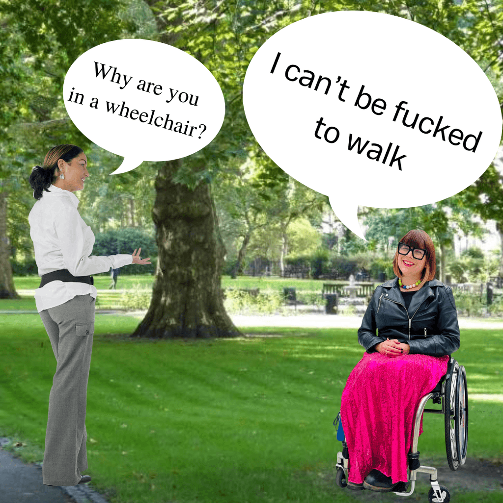 A woman standing on the grass in a park with a speech bubble saying, "Why are you in a wheelchair?"and Nina with a sarcastic smile, sitting in her wheelchair with a speech bubble saying, "I can't be fucked to walk."