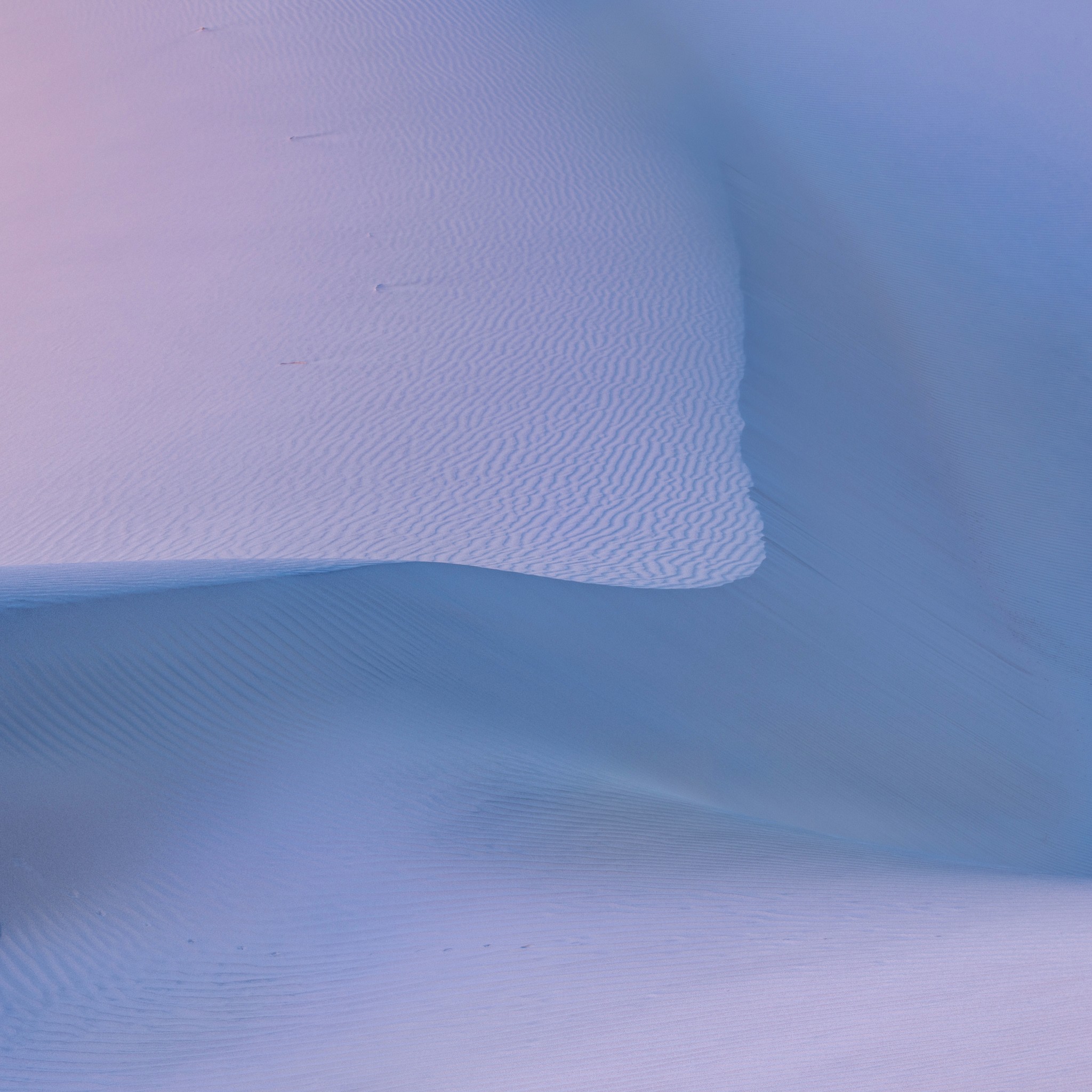 Edges of dunes create a composition of flowing forms, illuminated by the subtle blue and pink tones of early morning light. Their curves reveal the geometry of the desert, where shape, texture, and color are reduced to their purest expression.