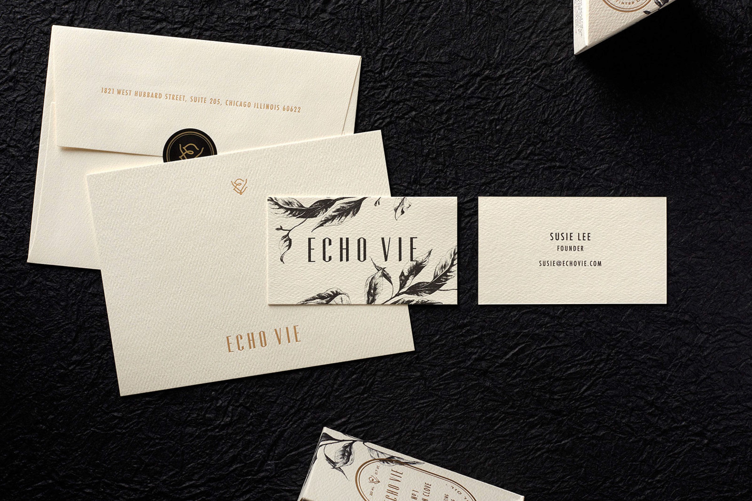 Echo Vie Collateral Design