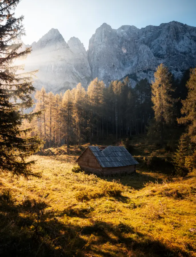Sunlight hitting a small mountain hut in a golden meadow, surrounded by epic mountains of Vršič pass, Slovenia