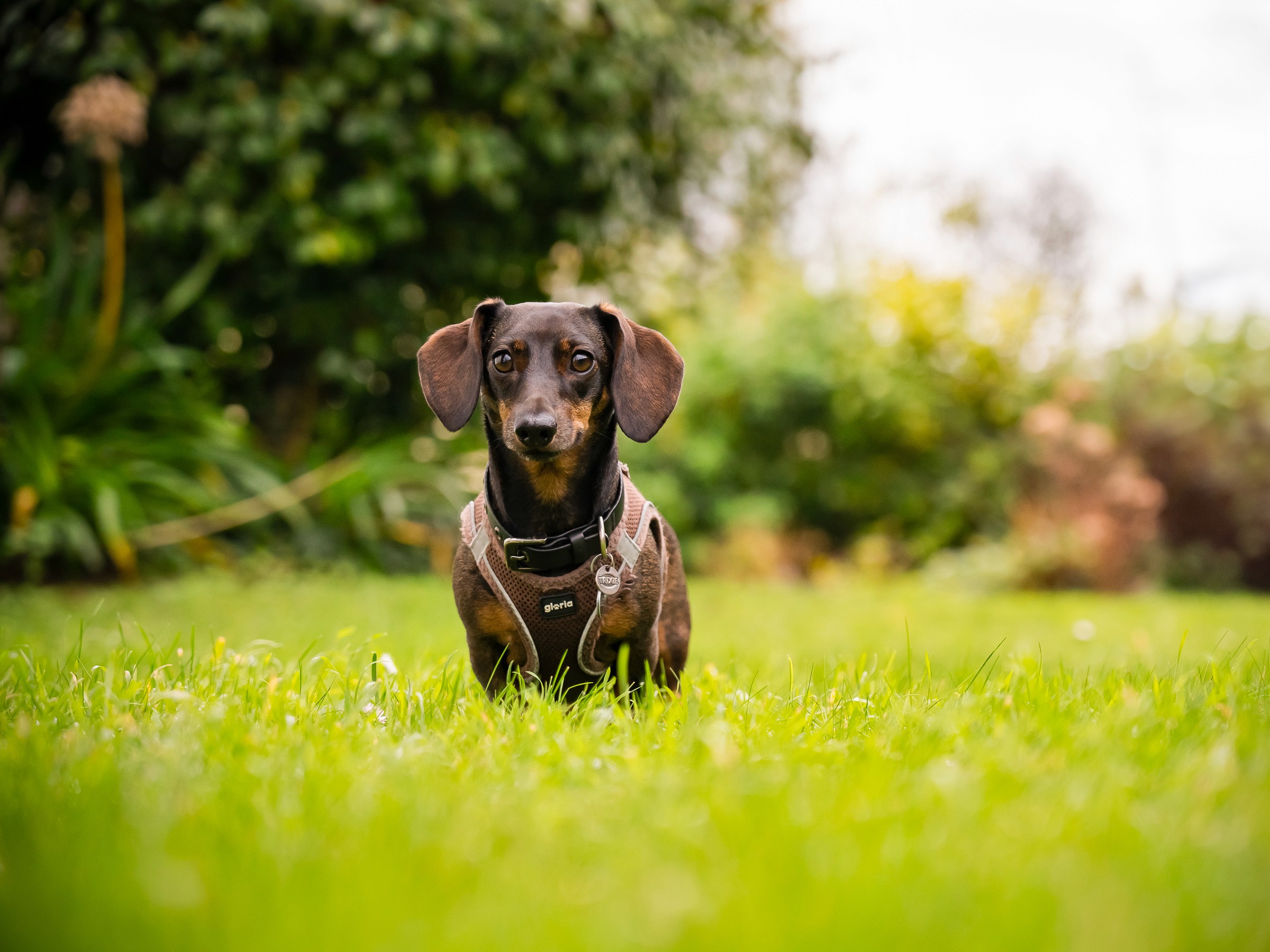 Anne-Claire Flécher Photographe