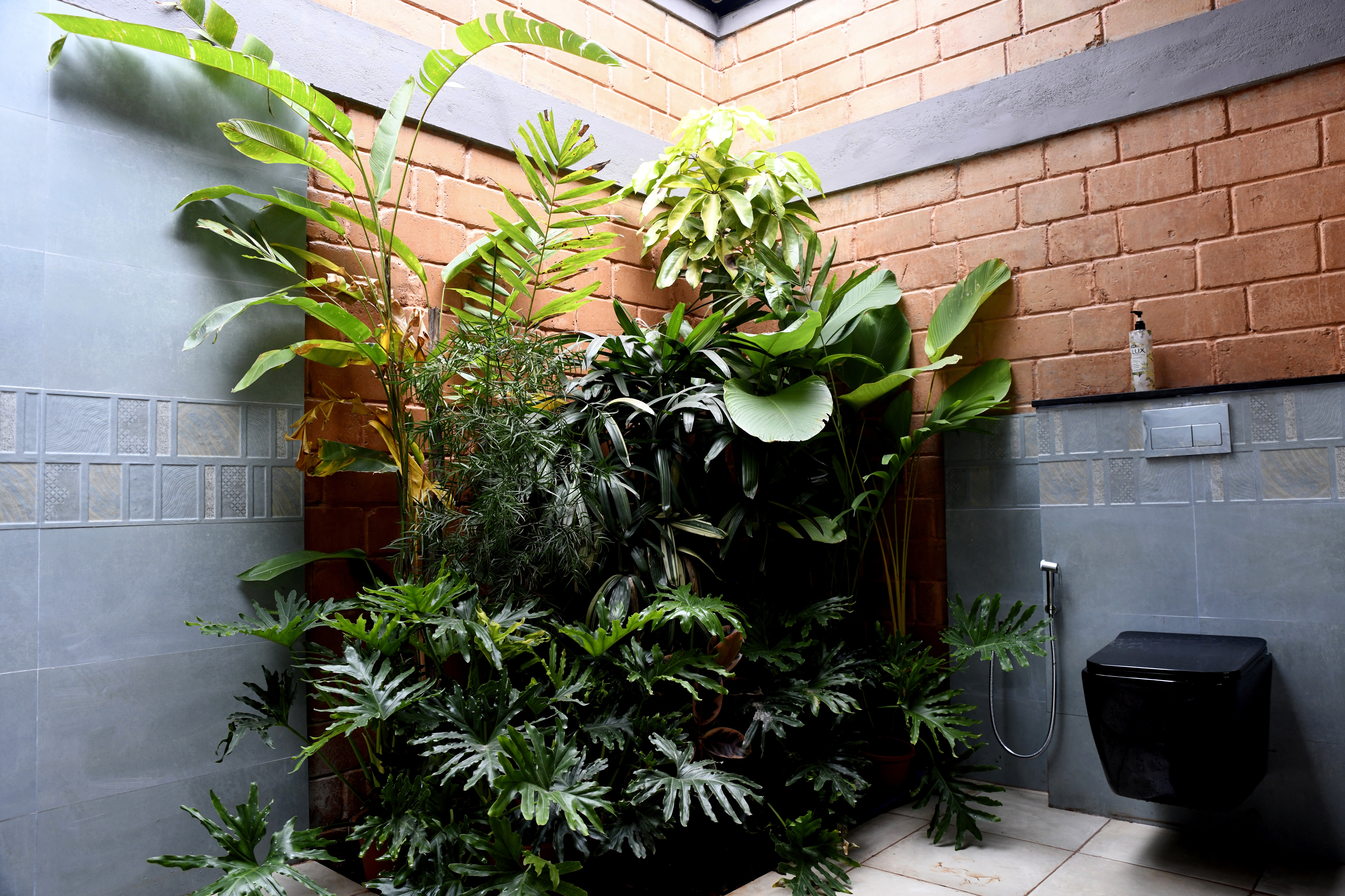 Bathroom View of Sannidhi Cottage