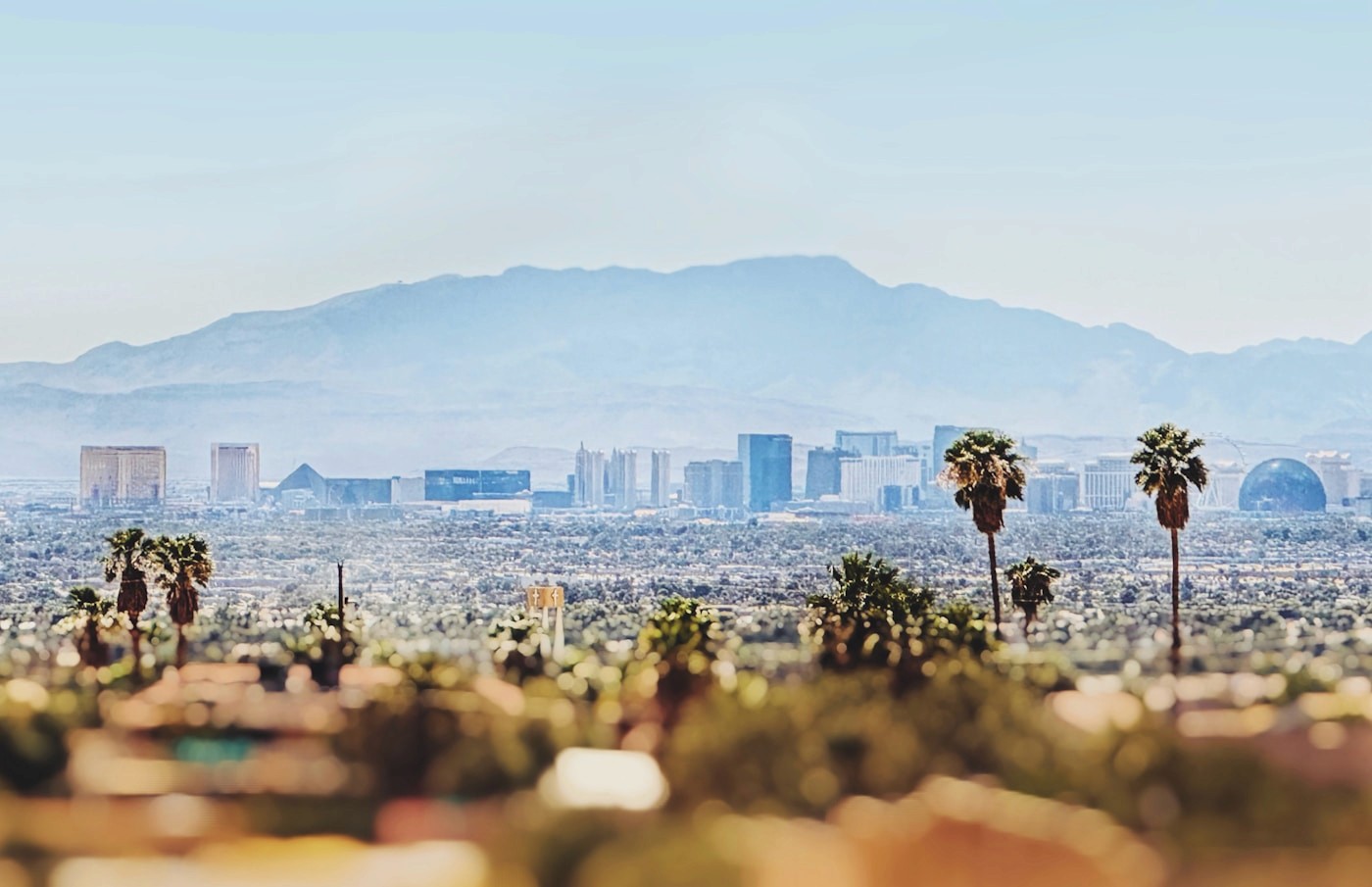 Las Vegas skyline with palm trees and distant mountains
