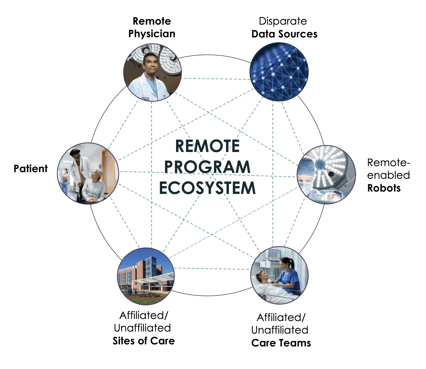Remote Program Ecosystem