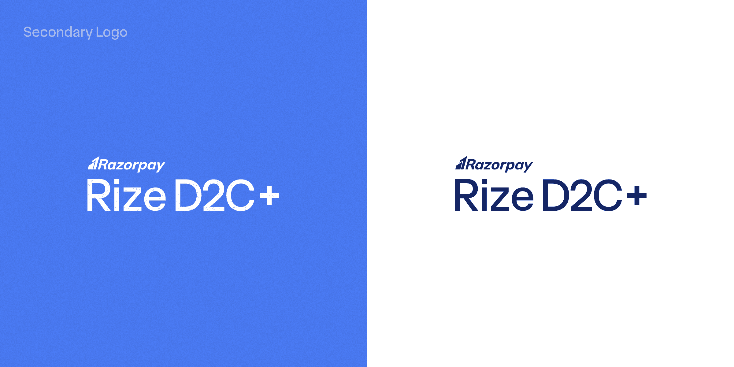 Rize D2C+ Secondary Logo