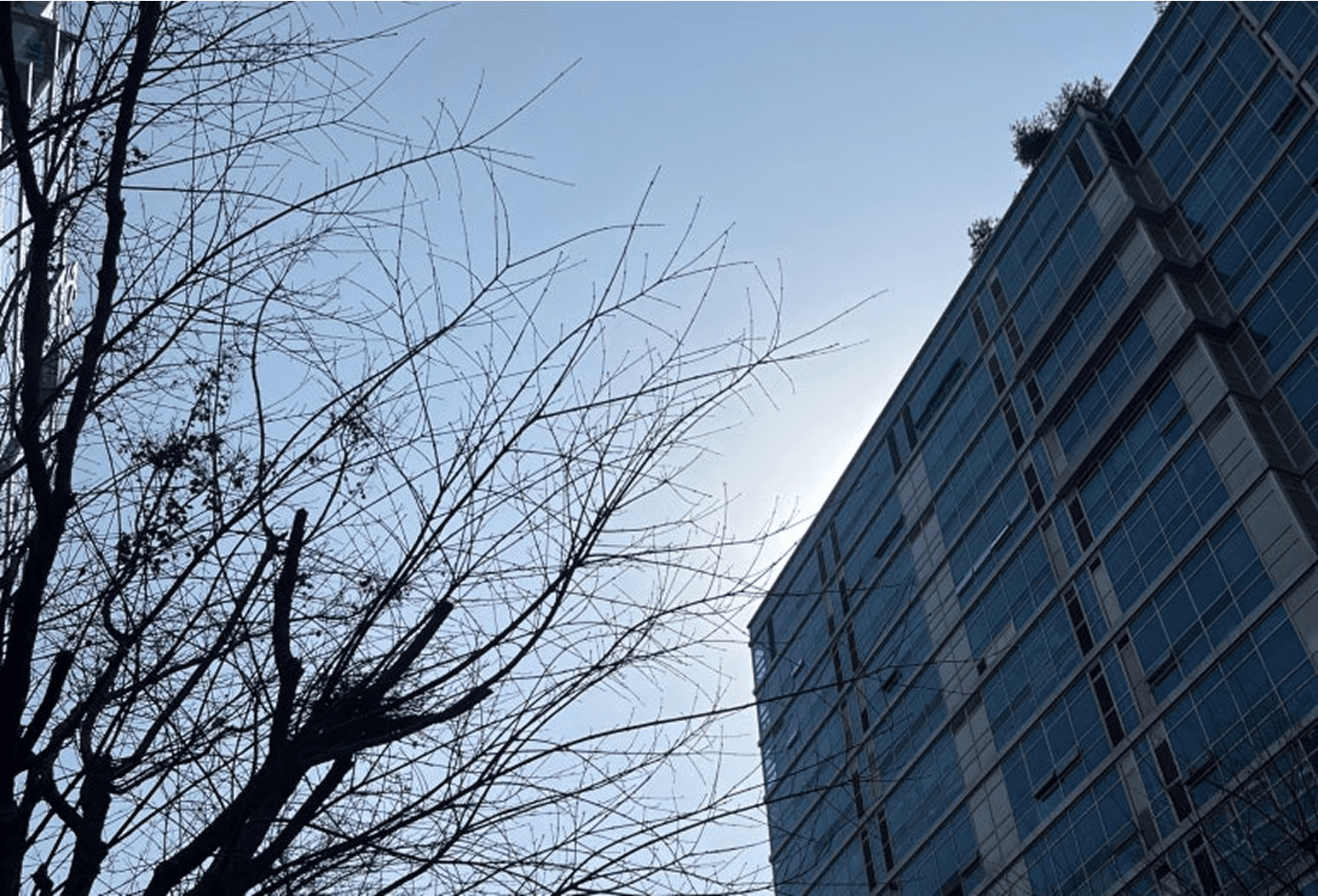 위닝즈 사무실 앞