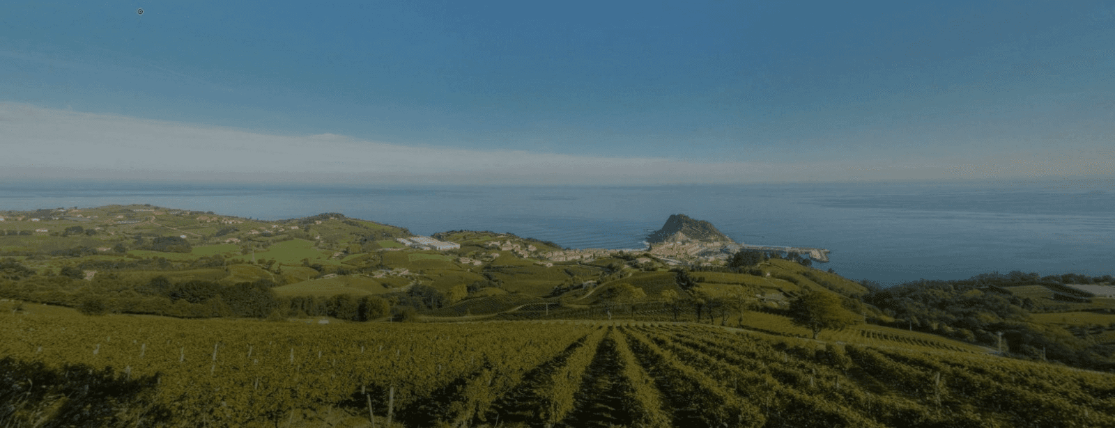 Coastal vineyard landscape with a village and ocean in the background.