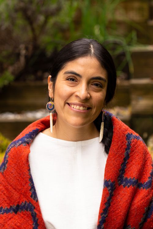 Sandra Suasnabar Alberco