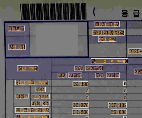 실손 영수증 표 구조 분석