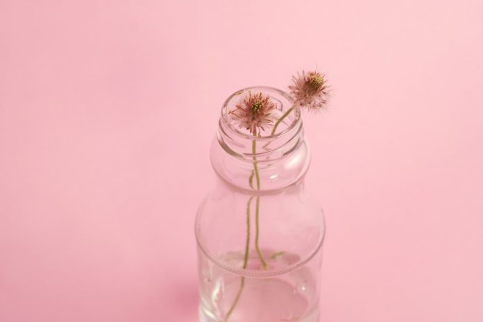Millennial Pink