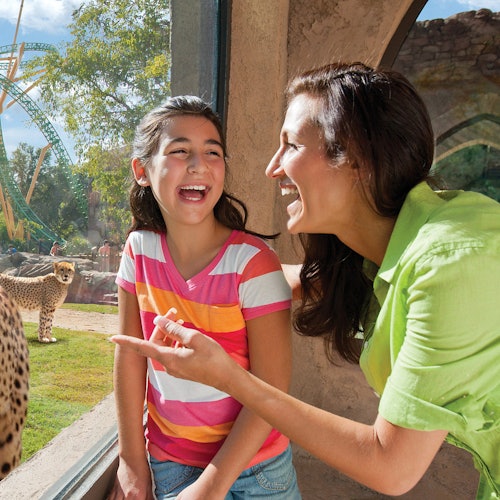 A woman and girl smiling at a cheetah through a glass panel at a zoo, with greenery and a rollercoaster in the background.