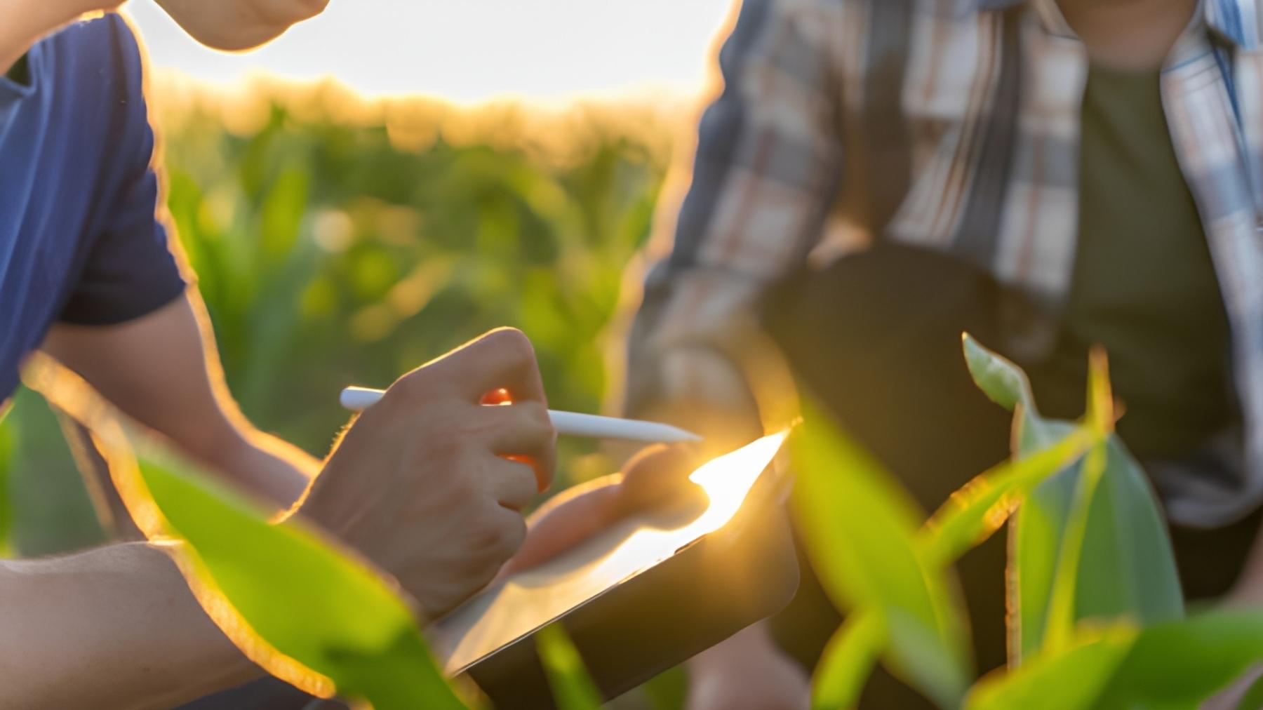 What is Sustainable Agriculture