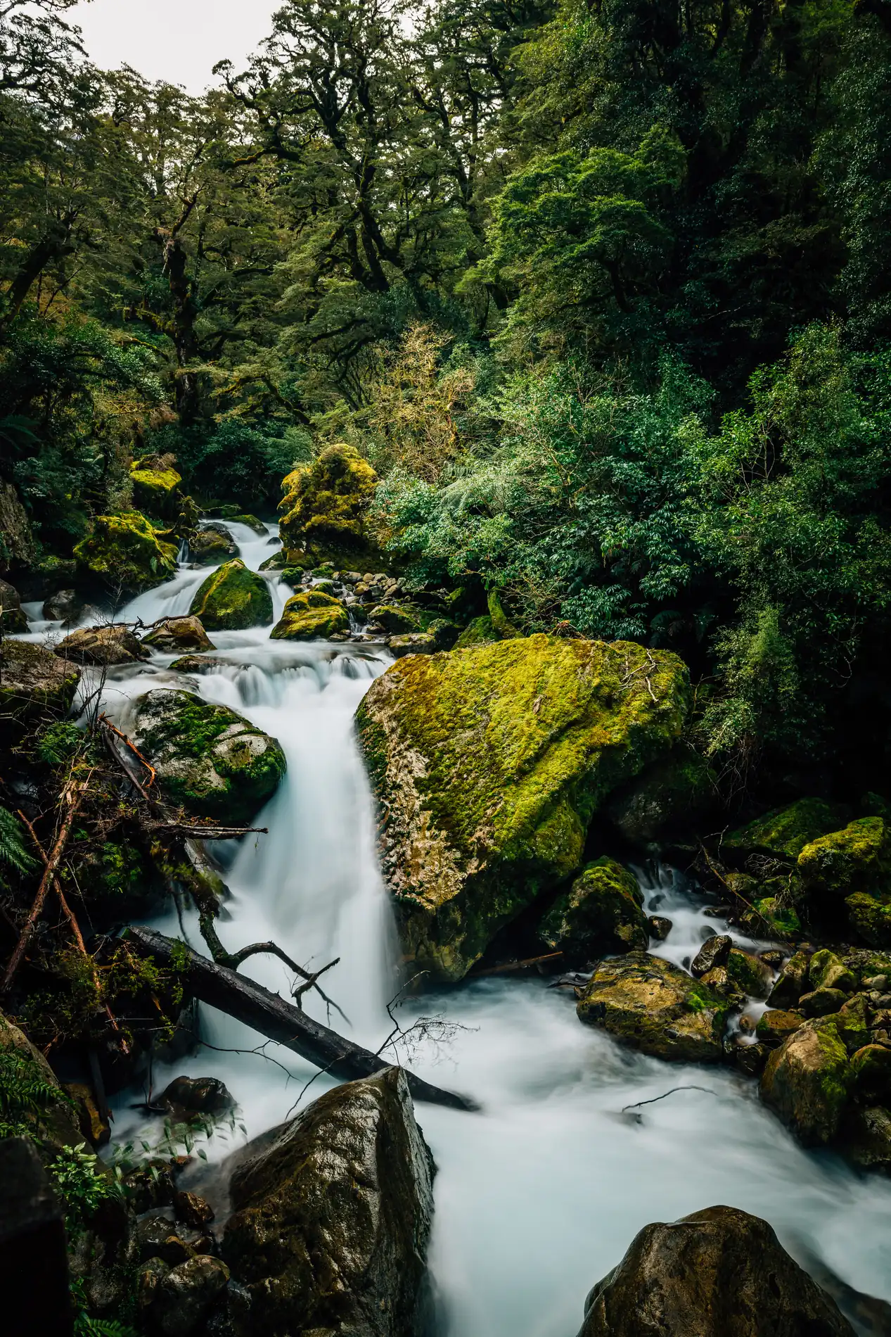 A long-exposure waterfall running over moss-covered boulders in dense rainforest
