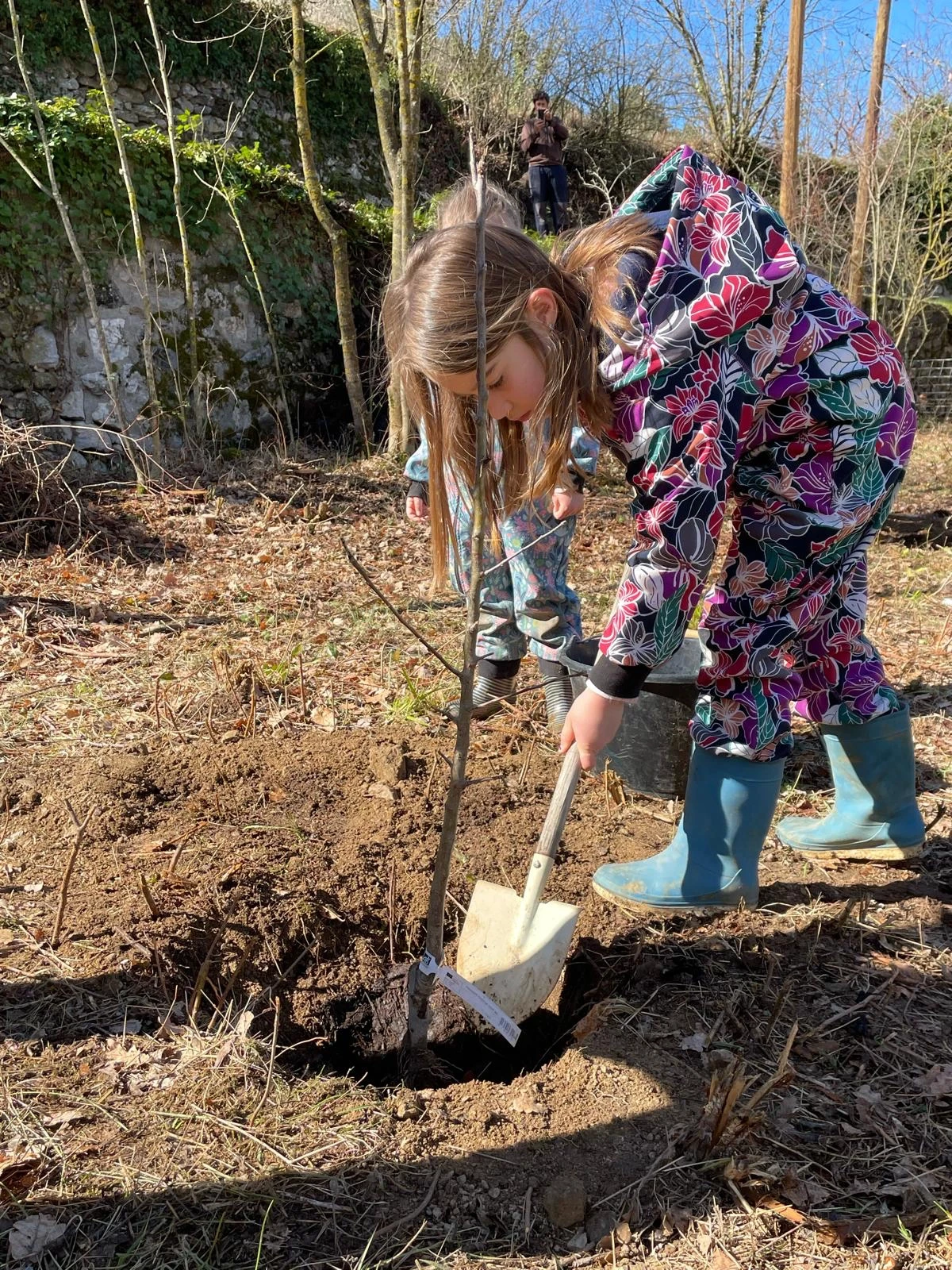 élève-plante-arbre-la-belle-verte