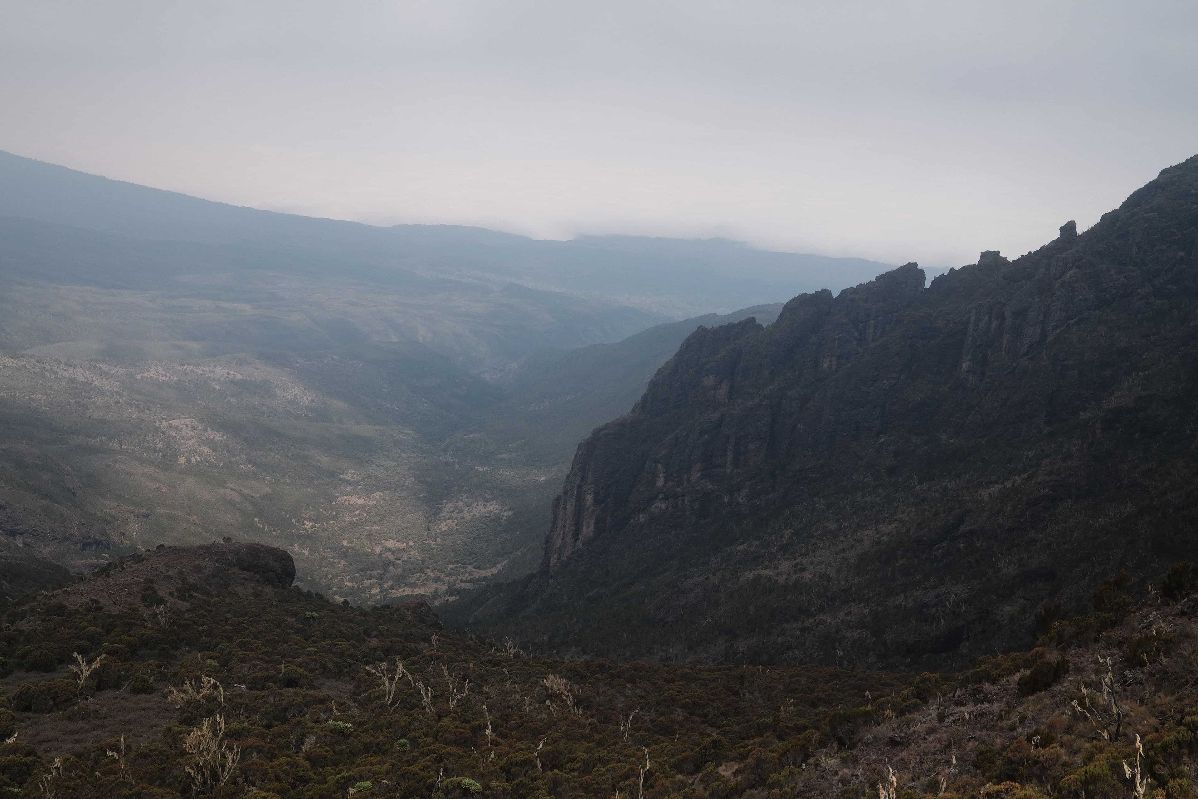 Misty montane rainforest on the lower slopes of Kilimanjaro, the first climate zone climbers pass through.