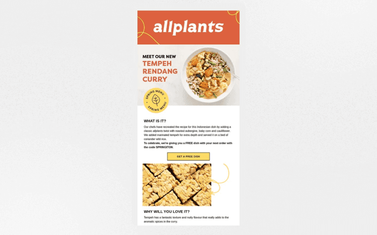 Newsletter design best practices from Allplants