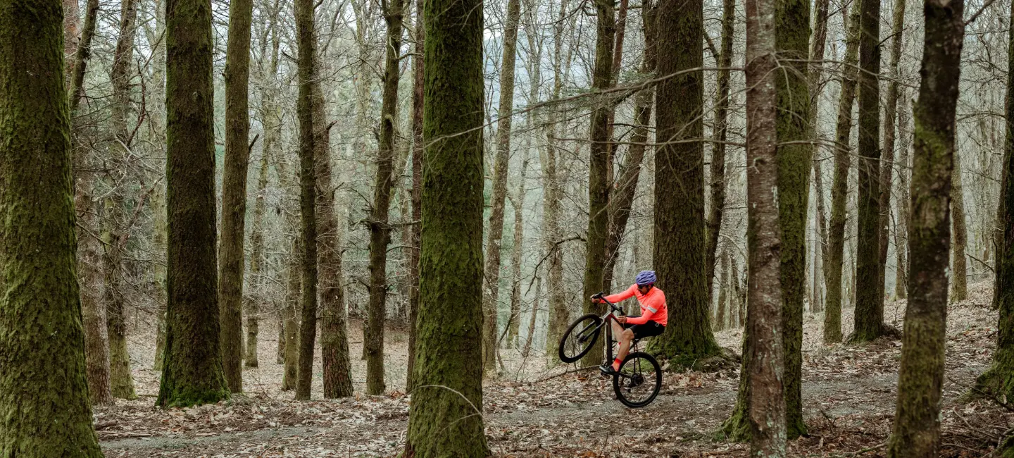 Cyclist riding a gravel bike through a forest.