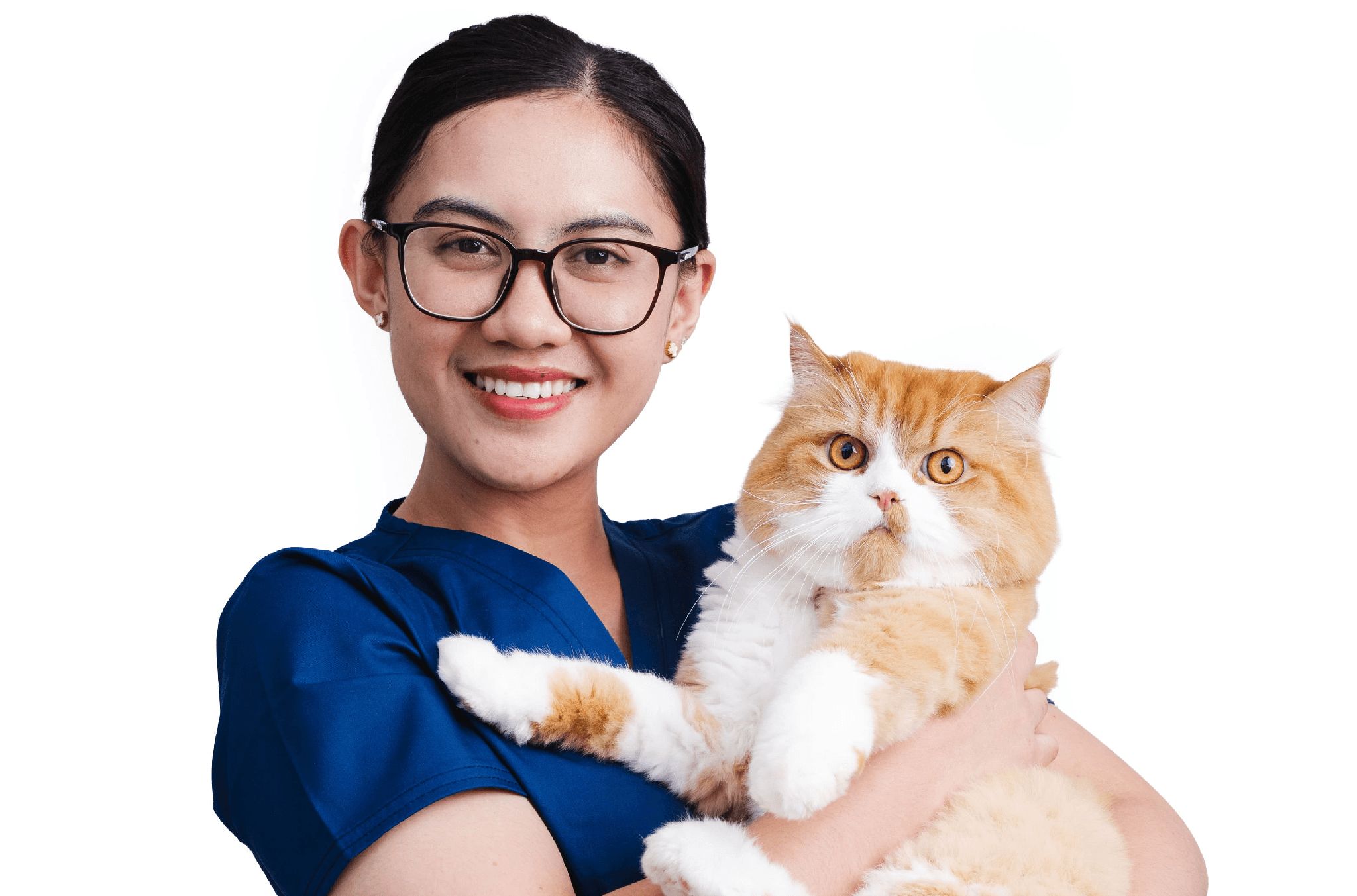 A veterinarian is smiling and holding a white and orange cat in her arms.