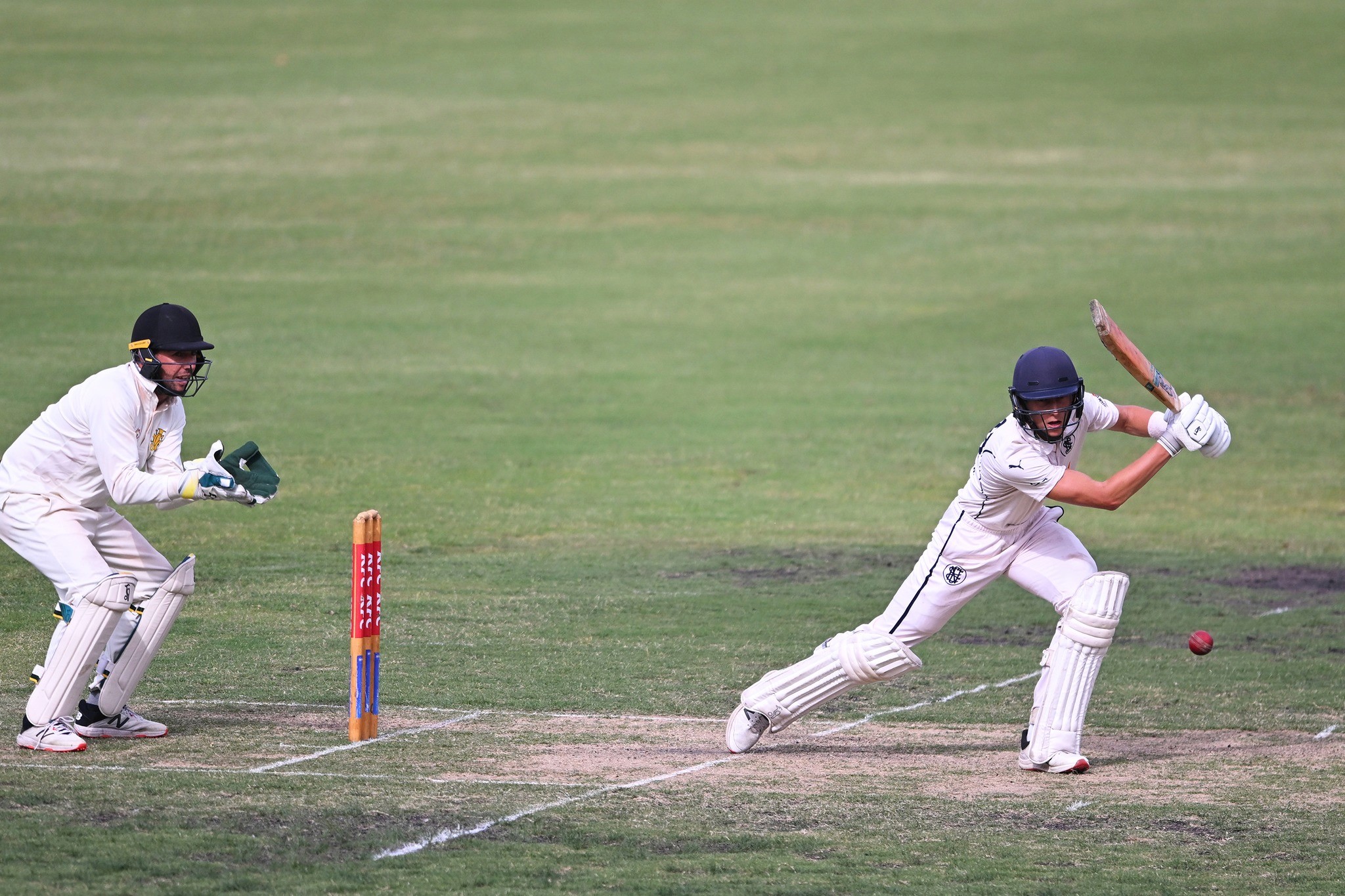 Turf Cricket Image