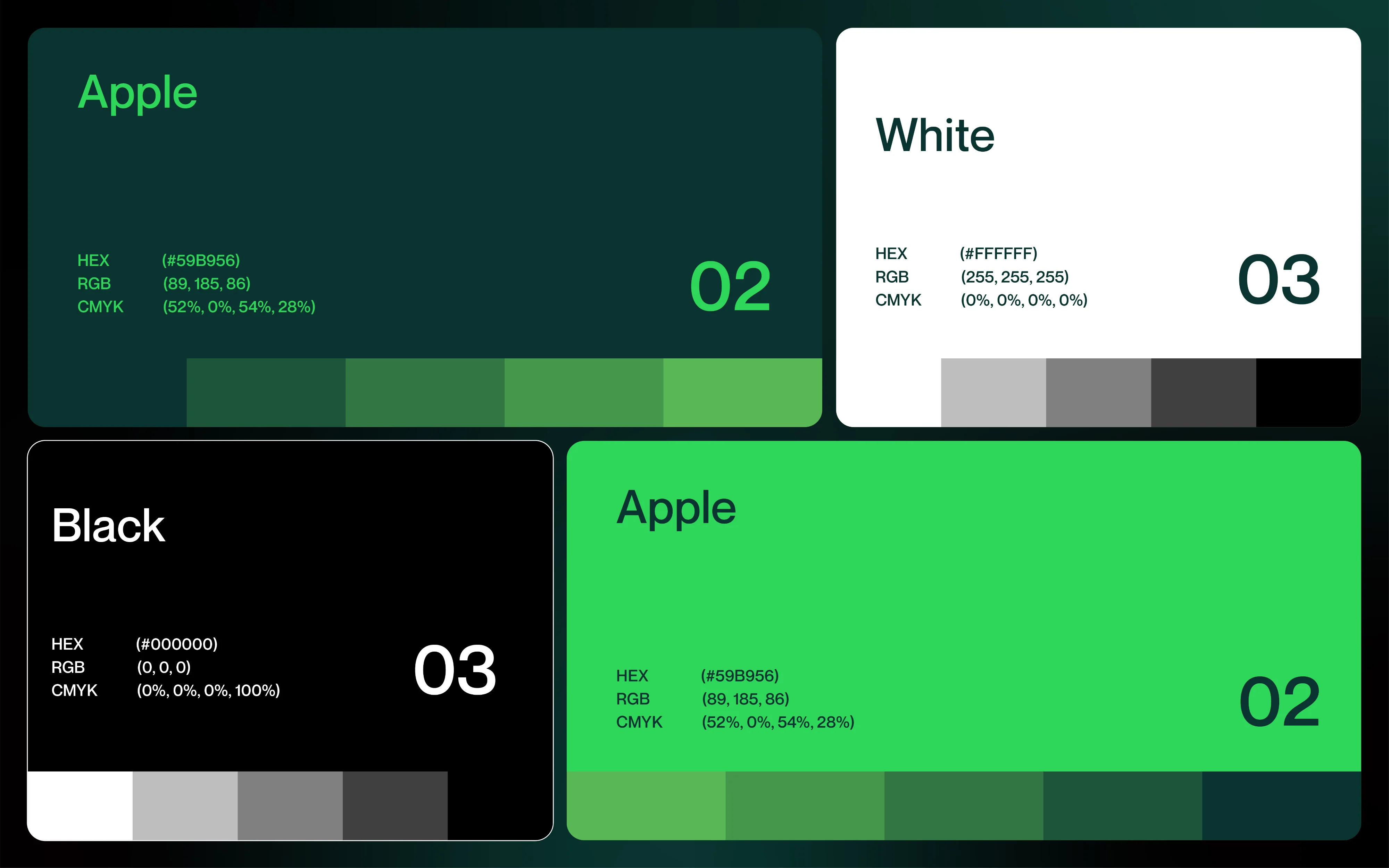 Studio Project Showcasing Image