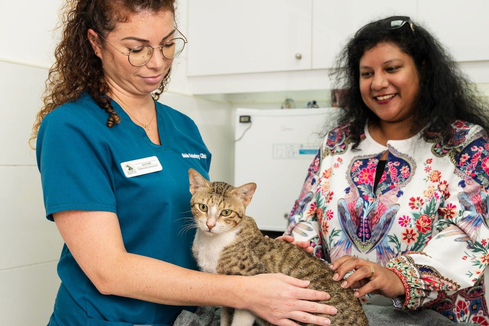 Benefits When Cats Eat Watermelons