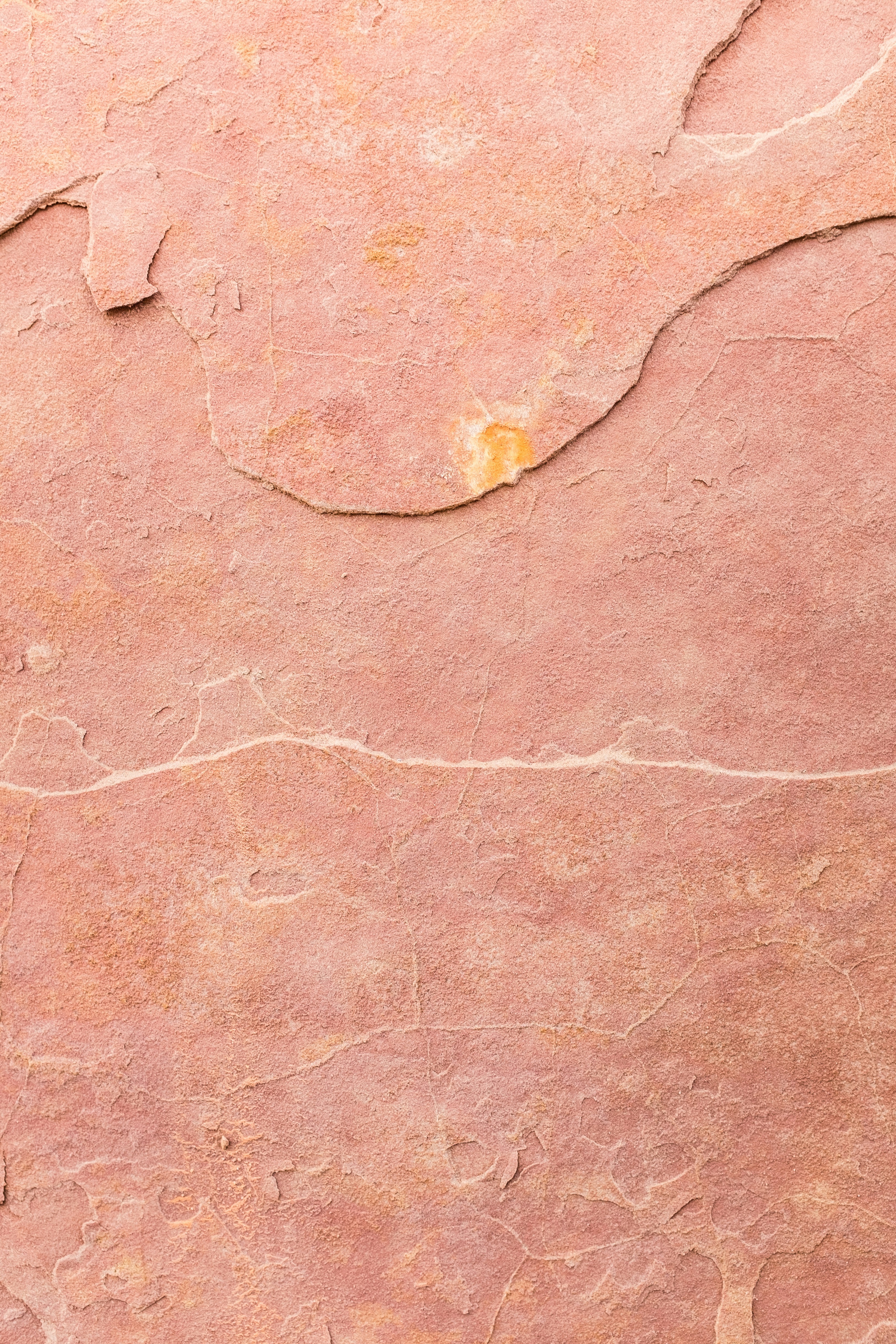 Pink cement wall texture