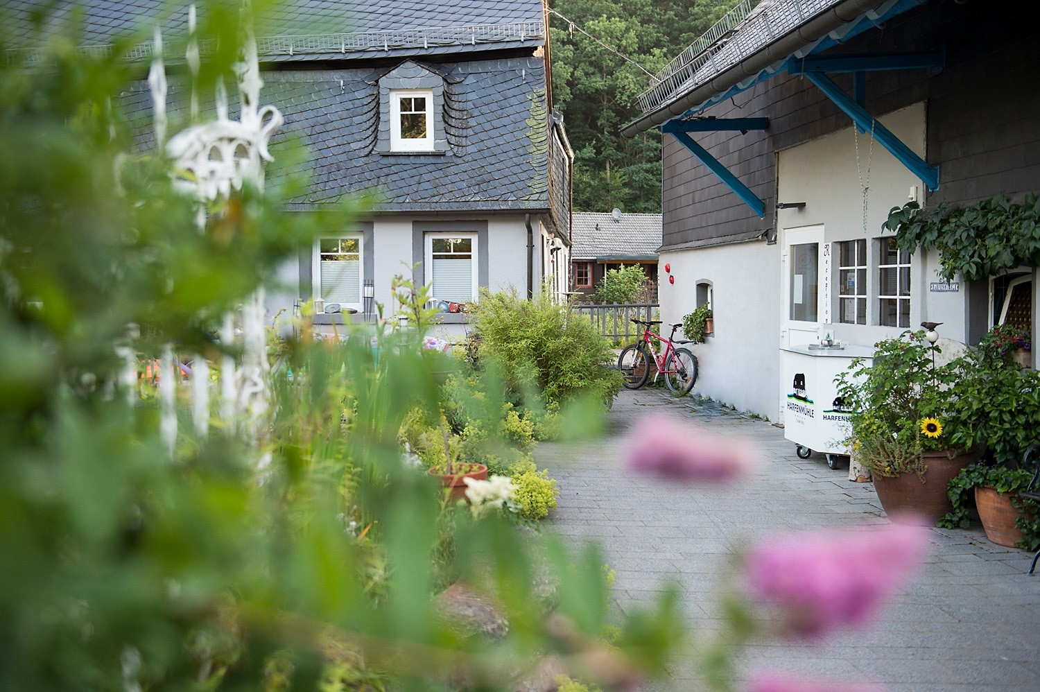 Entrance reception with the old mill house