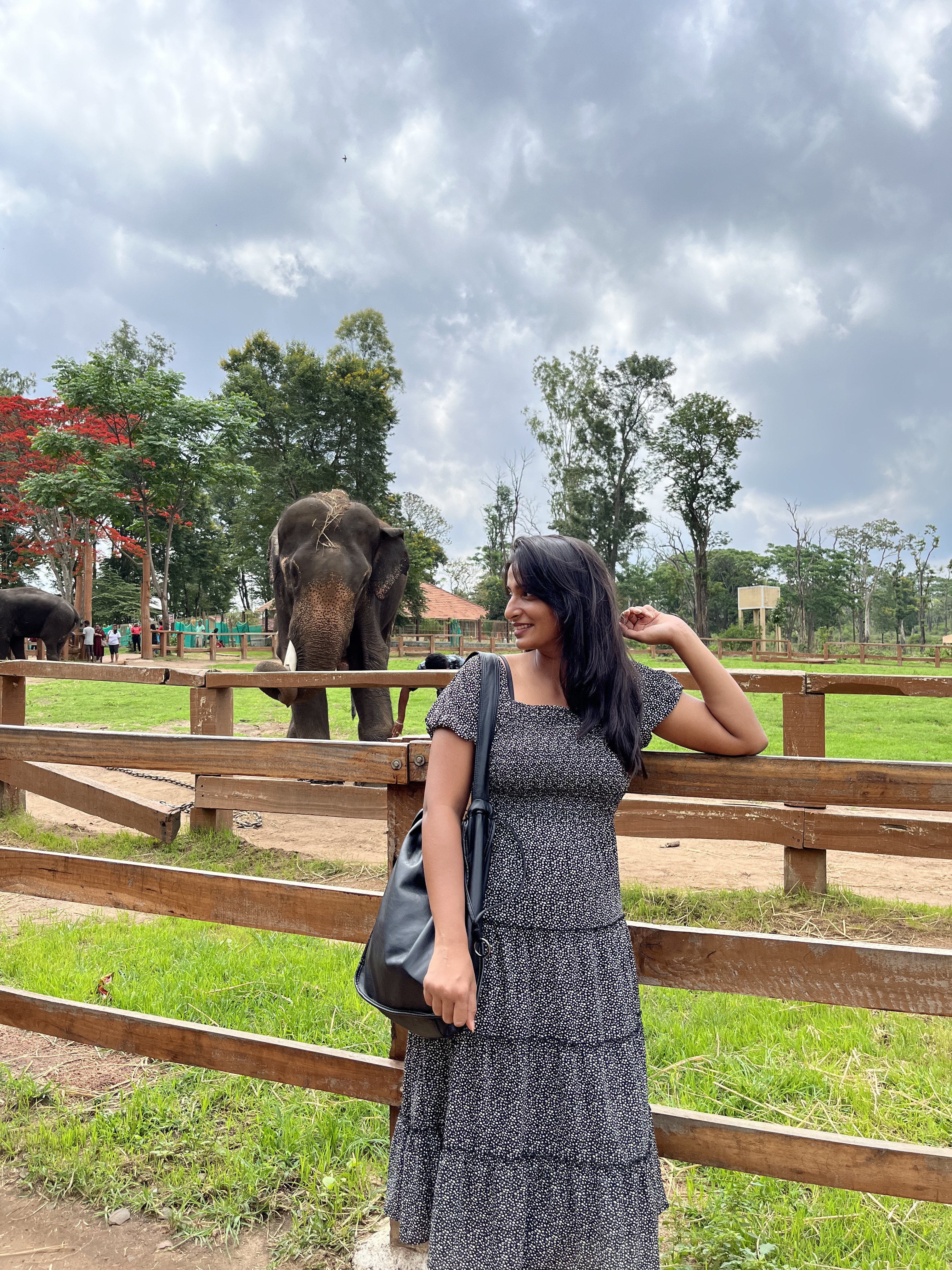 Woman In The Glass Way