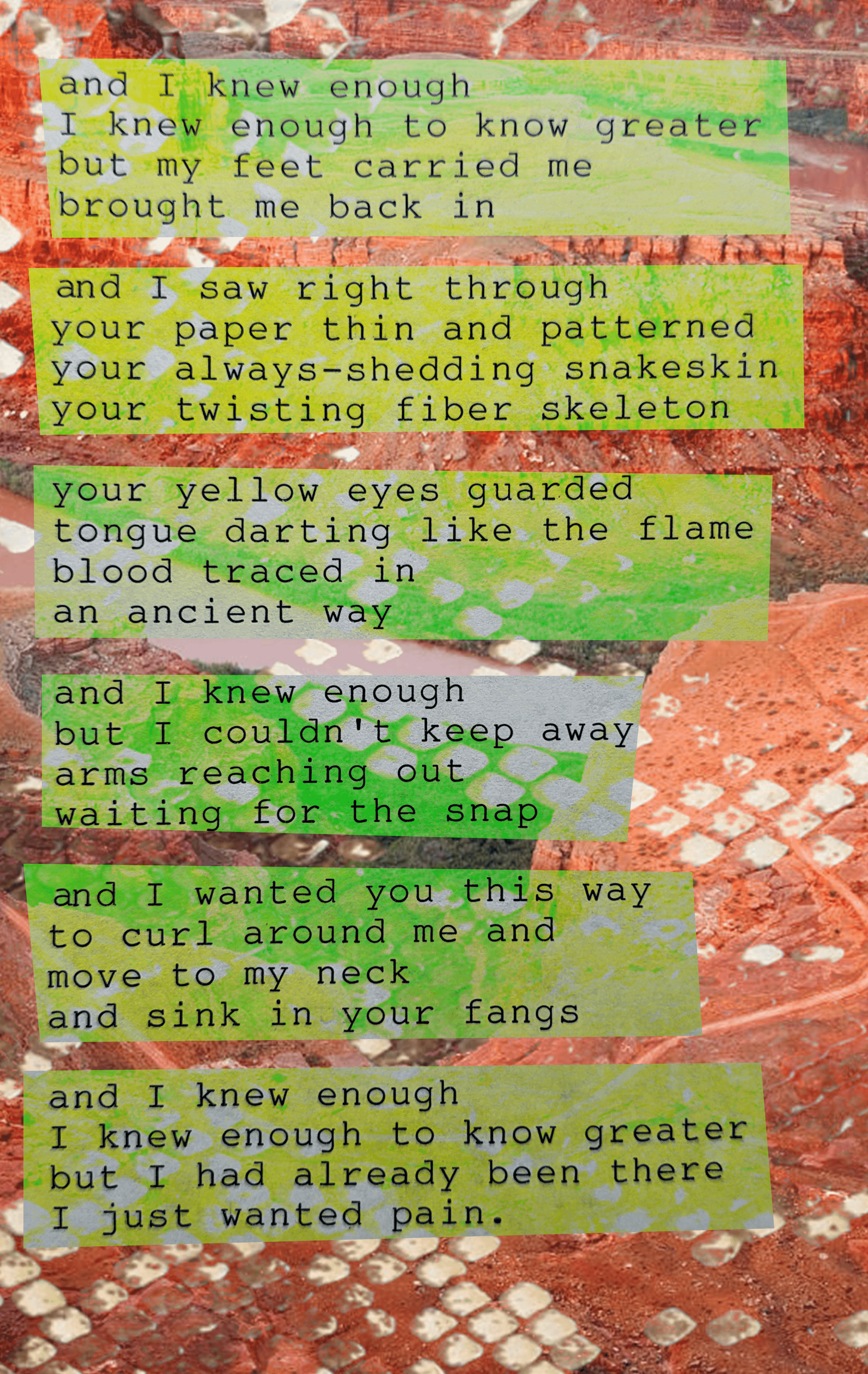 Snakeskin poem