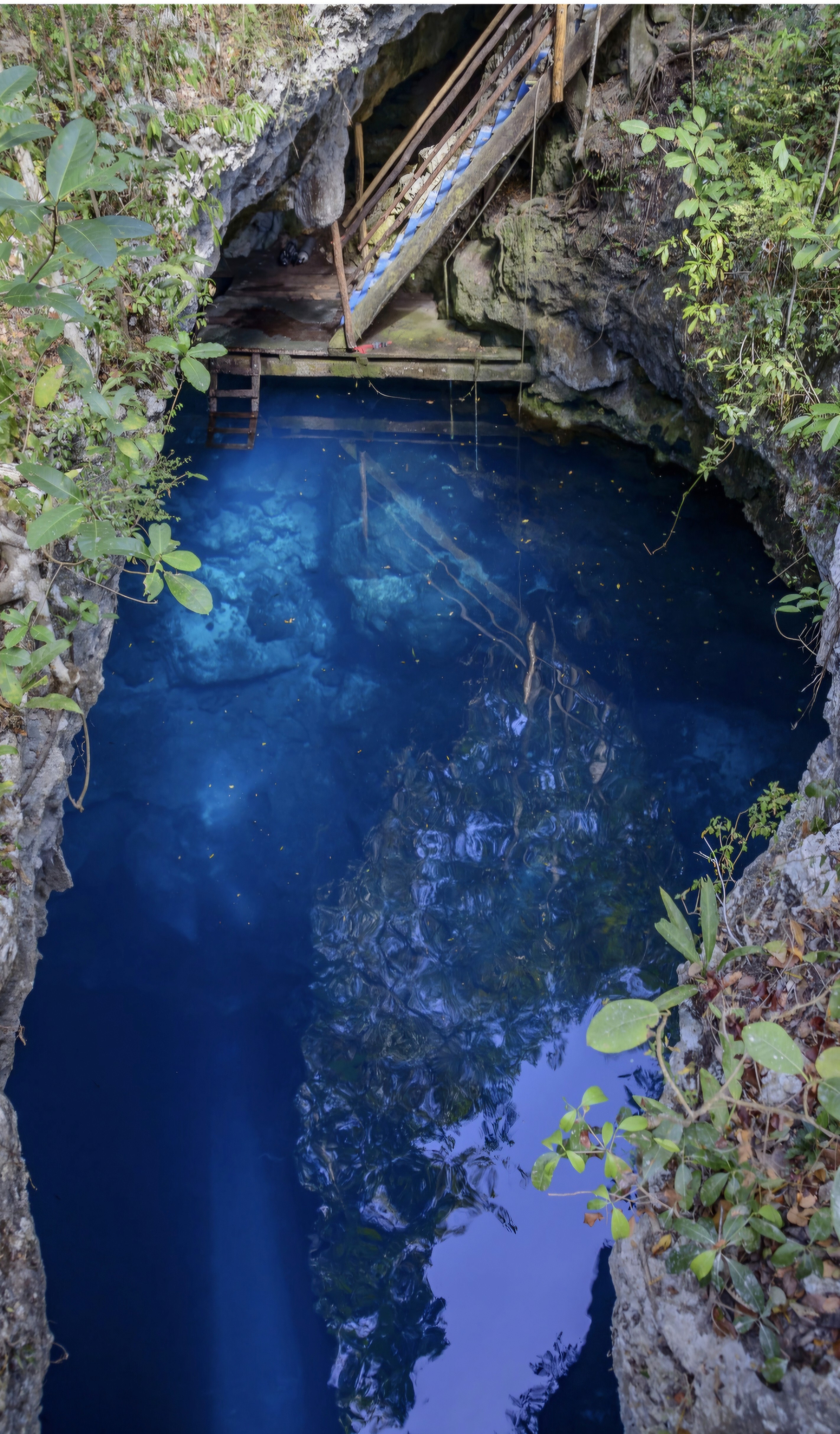 Dynamic picture of a cyclist riding downhill