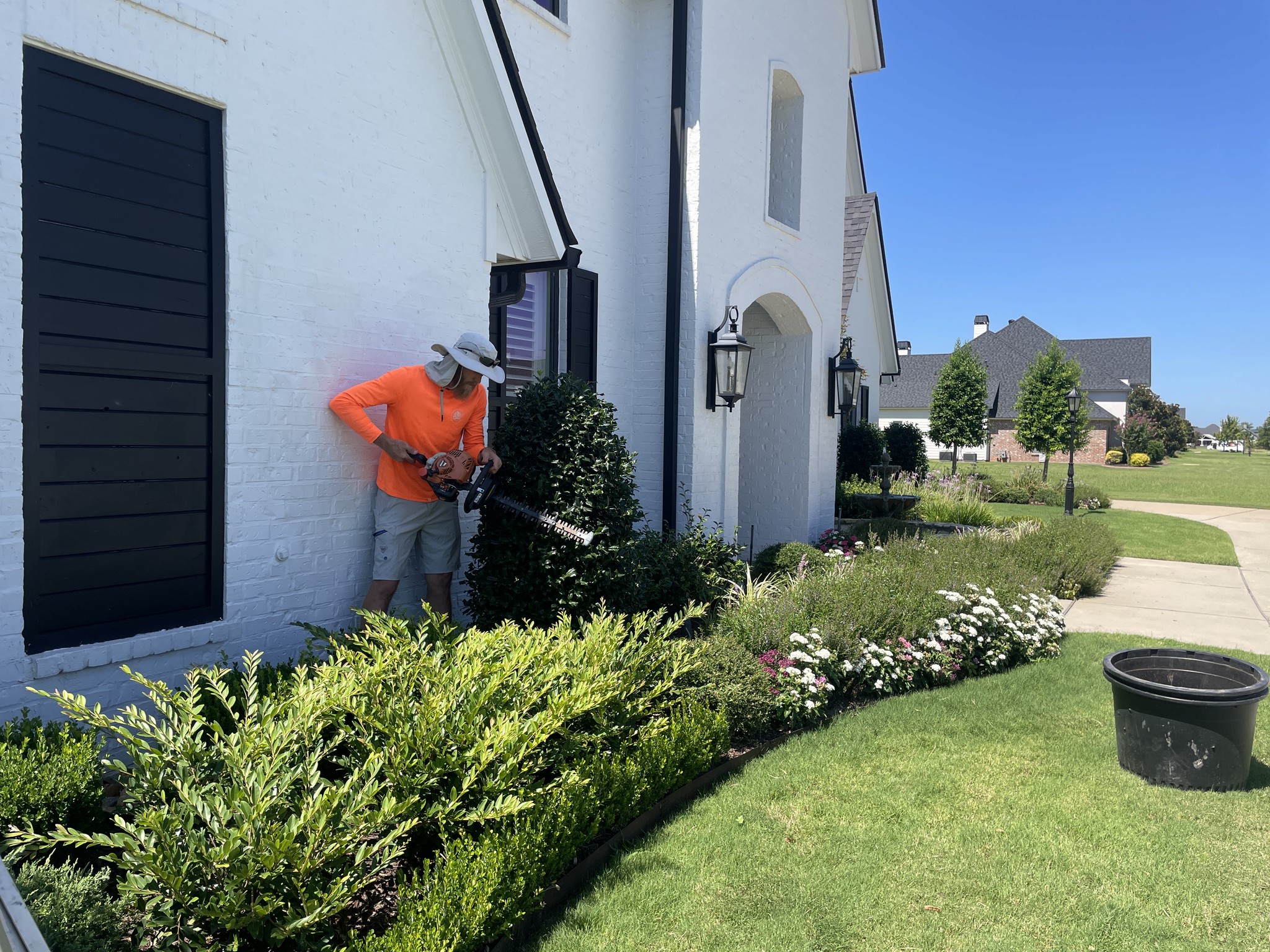 Close-up of a worker trimming green hedges with a power hedge trimmer.